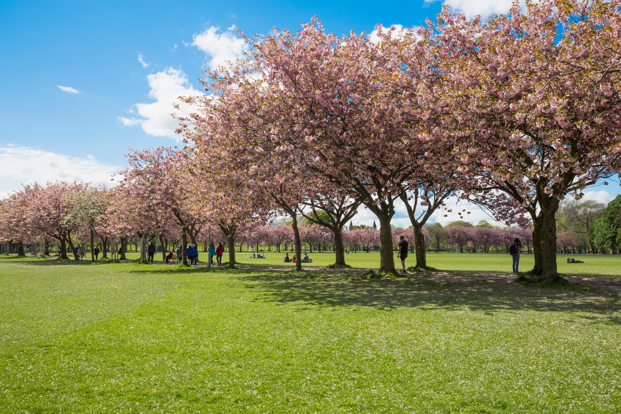 The Meadows, Edinburgh